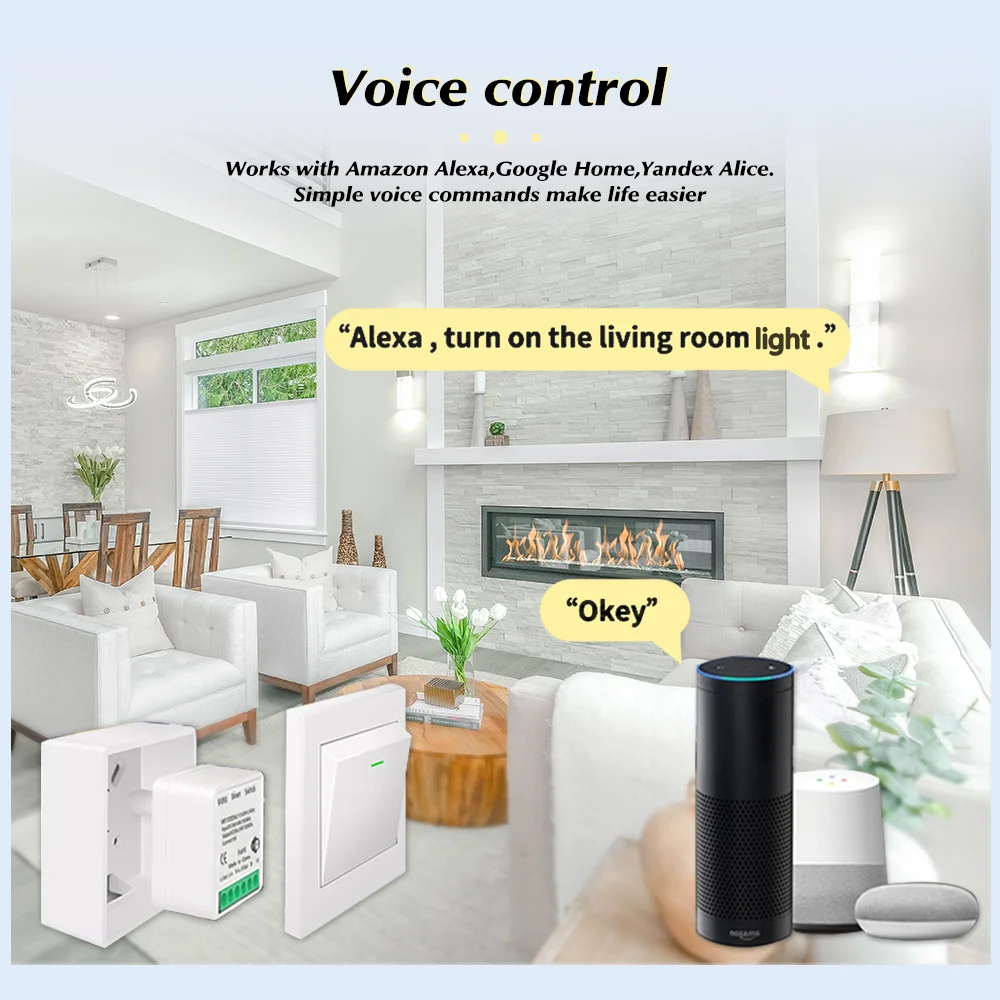Für Tuya Mini Smart WiFi Schal – Home Assistant Tuya Bewertung und Preis