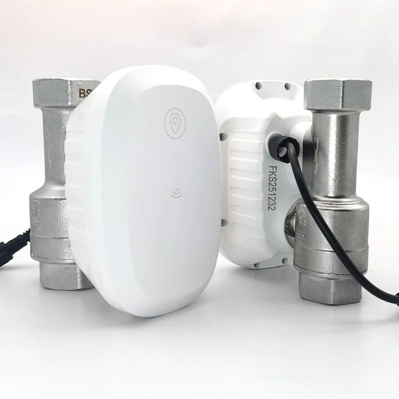 Wasserventil mit WLAN-Smart-St – Home Assistant Tuya Bewertung und Preis